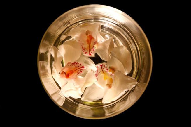 Motel Flamingo Perafita エクステリア 写真